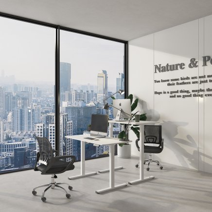 Höhenverstellbarer Bürotisch  FQ2-WW - 3