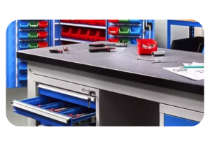 Interessante Fakten und Neuigkeiten